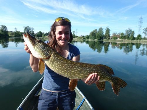 18620877_10155261364956303_3229711225735059066_o