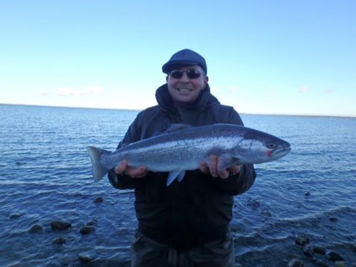 seatrout6