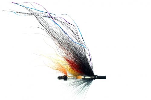 23120306_10155780972071303_3473538894383432591_o