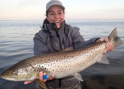 1743511_10152861456931303_1940851389313231395_n