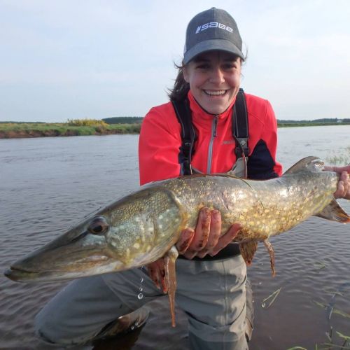 13339678_10154199670501303_5566701076186537526_n