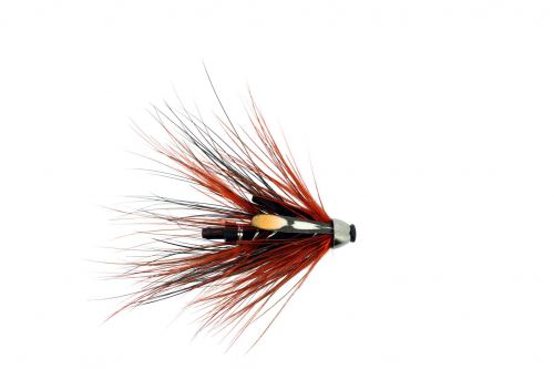 23157368_10155788570181303_7318051053564952079_o