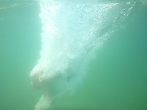 19399870_10155359560441303_8165675332320353604_n