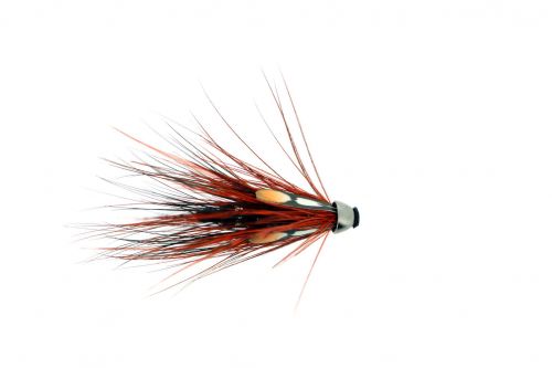 23155075_10155788570221303_4962322068553244706_o