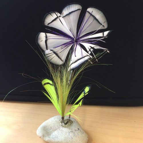 13524440_10154257063521303_229309502795469730_n