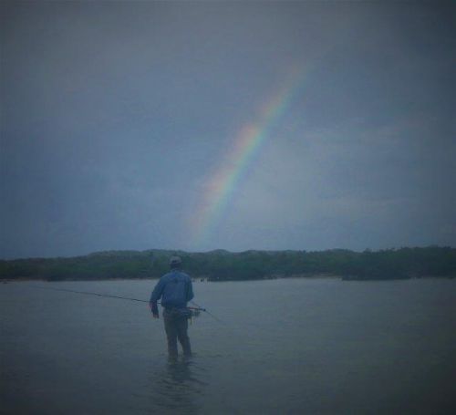 Rainbow James