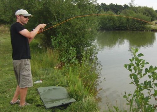 carp 3