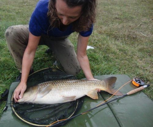 carp 2