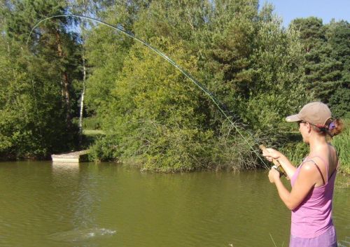 carp 1