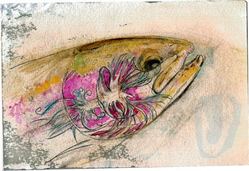 01df52-bowwulff-010712