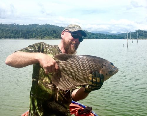 gourami2