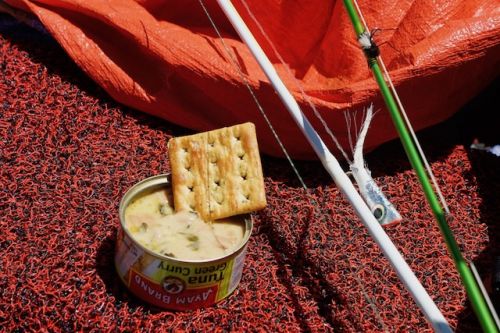 Gourami,giantfish,food