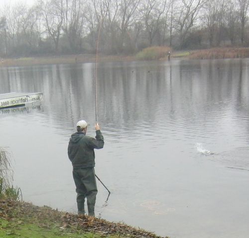 James fish 1
