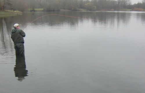 James fish 4