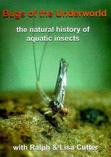 5113-001-Bugs-of-the-Underworld