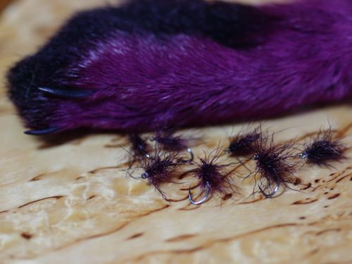 hare buzzer claret group