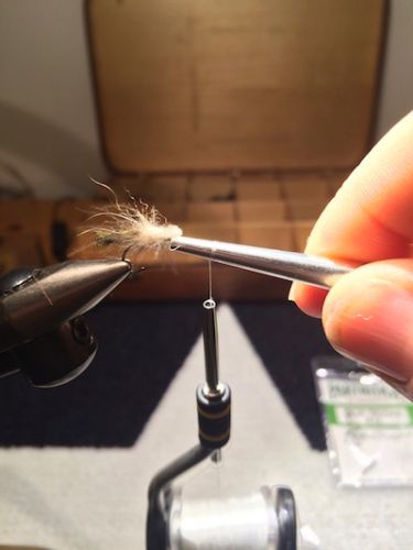 Extended_Body_Caddis_SBS 27