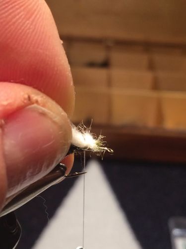 Extended_Body_Caddis_SBS 11