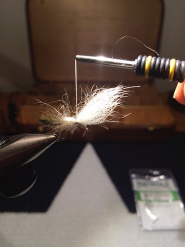 Extended_Body_Caddis_SBS 25