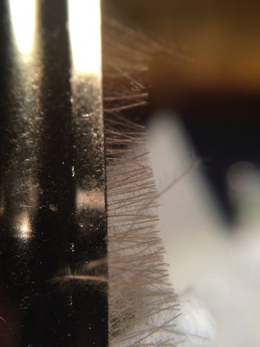 Extended_Body_Caddis_SBS 18