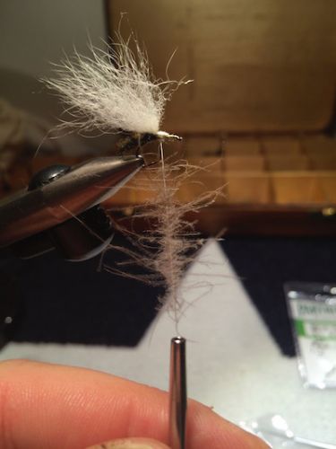 Extended_Body_Caddis_SBS 21