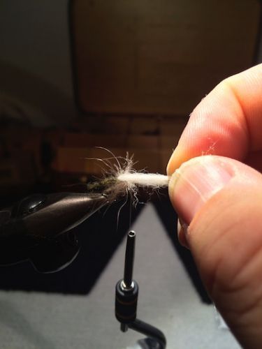 Extended_Body_Caddis_SBS 24