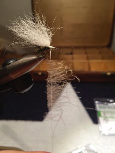 Extended_Body_Caddis_SBS 20