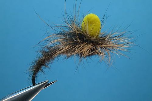 10931361_1027608400586708_6700720197380114618_n